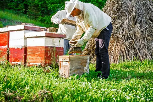 王殿武：是你养活了老板，不是老板养活了你，你无需感恩公司