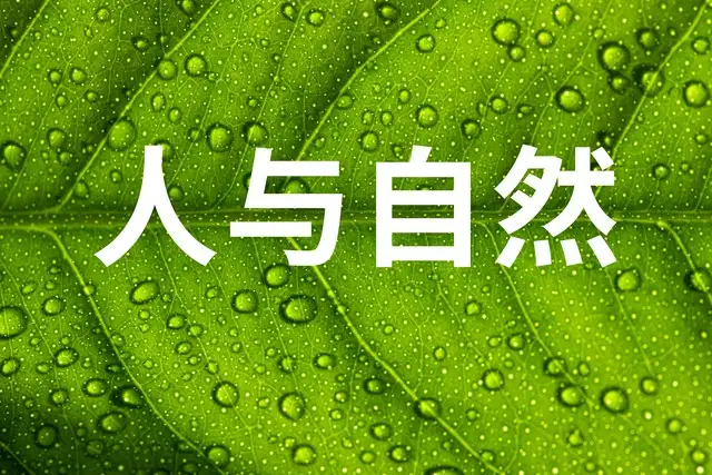 王殿武:很多人屁都不敢干,什么事也做不成,只敢在背后嘲笑别人