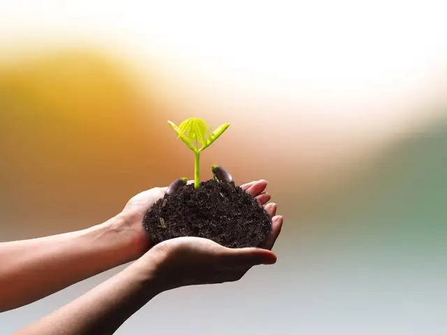 王殿武:你越往上走,朋友就越少,因为往上走的人永远是少数