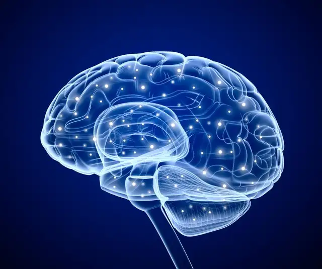 王殿武:让客户大脑一片空白,人类体验的极致与商业创新的密码